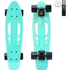 Скейтборд RT 405-A Skateboard Fishbone с ручкой 22 винил 56,6х15 с сумкой AQUA/black