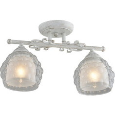Потолочная люстра IDLamp 285/2PF-Whitepatina