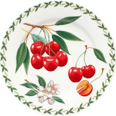 Тарелка Maxwell & Williams Вишня (MW637-PB8202)