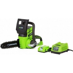 Электропила аккумуляторная GreenWorks G24CS25K2 (2007707UA)