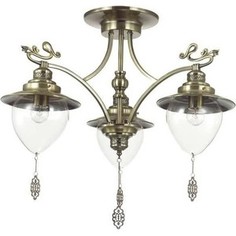 Подвесная люстра Lumion 3496/3