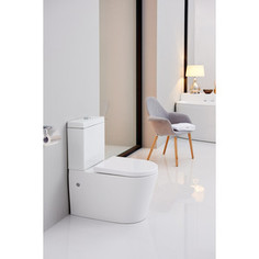 Унитаз с бачком SSWW 69,3 см, с микролифтом, белый (4446A + 4446В)