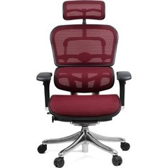 Кресло эргономичное Comfort Seating Group EHPE-AB-HAM (Д) KMD-37 ergohuman plus elite burgundy