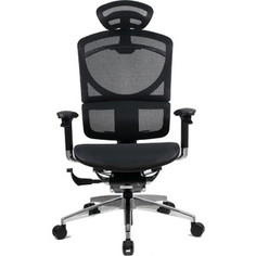 Кресло эргономичное GTChair SE-13D GT-12 I-See black (chromed frame)