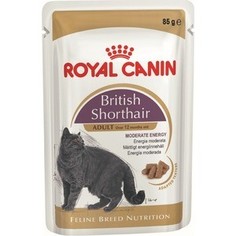 Паучи Royal Canin British Shorthair Adult кусочки в соусе для кошек британской короткошерстной породы 85г (540001)