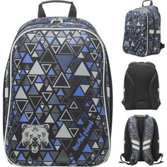 Рюкзак Action ANIMAL PLANET, разм. 40х29х16 см, анат. рельеф. спинка, светоот. элем. , черн, д/мальчиков Action!