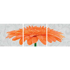 Раскраска Schipper Триптих хризантема крупноцветковая оранжевая (9400684)