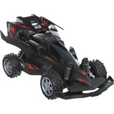 Радиоуправляемый багги Wangfeng Top Speed масштаб 1:16 - BG011B