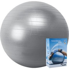 Мяч гимнастический Palmon 65 см r324065