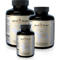 Пищевая добавка Anivital CaniAgil хондропротектор для собак 225таб/520г (523945)