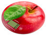 Весы кухонные SUPRA BSS-4300, рисунок/яблоко