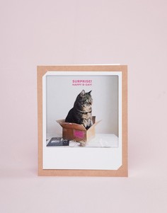 Открытка на день рождения Pickmotion cat in a box - Мульти