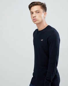 Черный джемпер с круглым вырезом и логотипом Hollister - Черный