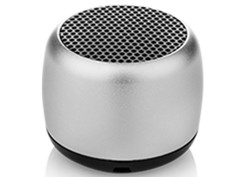 Колонка ZDK 2W220 Silver