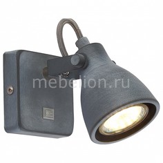 Бра 9189 A9189AP-1GY Arte Lamp