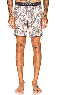 Трусики climbing palms - Rhythm