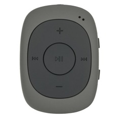 MP3 плеер DIGMA C2L flash 4Гб серый [c2lg]