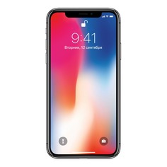 Смартфон APPLE iPhone X 256Gb, MQAF2RU/A, серый