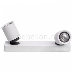 Спот Астор 545020502 Mw Light