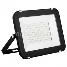 Настенный прожектор SFL90 55069 Feron Saffit