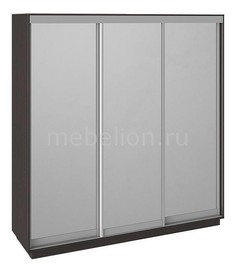 Шкаф-купе Румер Мебель Трия