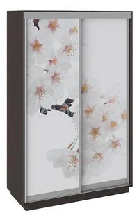 Шкаф-купе Румер Мебель Трия