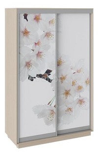 Шкаф-купе Румер Мебель Трия