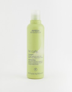 Шампунь Aveda Be Curly - 250 мл - Бесцветный