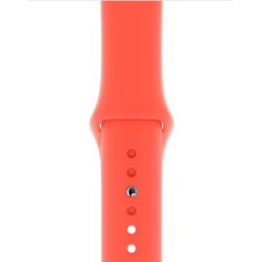 Ремешок Apple