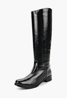 Сапоги Enzo Logana