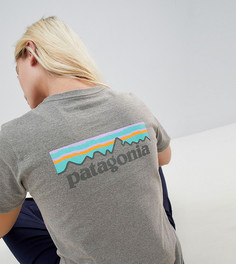 Серая футболка с логотипом в пастельных тонах Patagonia P-6 Responsibili-Tee - Серый