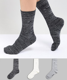 Набор из 3 пар носков в подарочной упаковке Calvin Klein - Мульти
