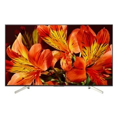 LED телевизор SONY BRAVIA KD65XF8596BR2 64.5&quot;, Ultra HD 4K (2160p), черный/ серебристый