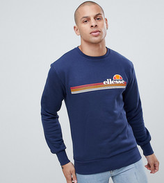 Категория: Свитшоты мужские Ellesse