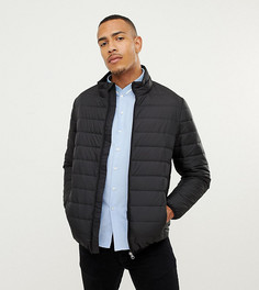 Черная дутая куртка Jacamo Tall - Черный