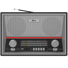 Радиоприемник Ritmix RPR-102 Black RPR-102 Black