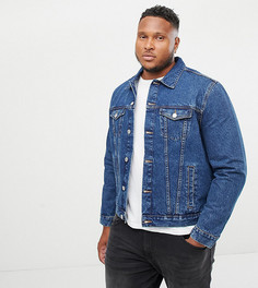 Синяя джинсовая куртка в стиле вестерн New Look Plus - Черный