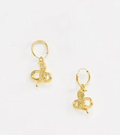 Серебряные позолоченные серьги-кольца в виде змеек ASOS DESIGN - Золотой