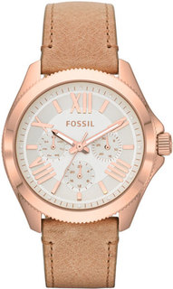 Наручные часы Fossil Cecile AM4532