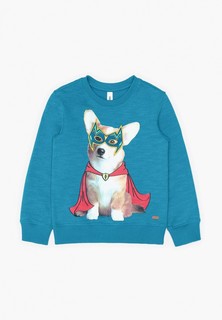 Свитшот Acoola