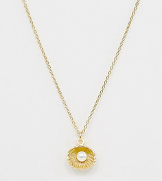 Серебряное позолоченное ожерелье с подвеской в форме ракушки с искусственным жемчугом ASOS DESIGN - Золотой