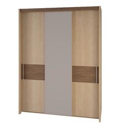 Шкаф-купе №10 (серия МК32) Корвет