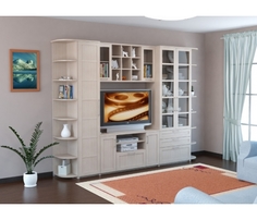 Гостиная Васко