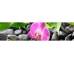 Фартук для кухни Bravomebel
