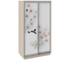 Шкаф-купе Трия Triya