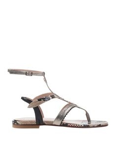 Вьетнамки Just Cavalli