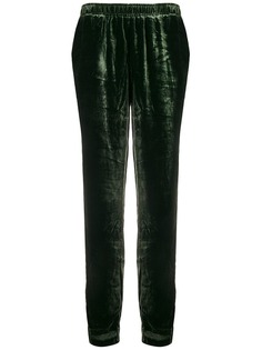 Gold Hawk бархатные спортивные брюки