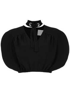 Framed Cracker cropped top