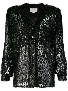 Redemption velvet blouse
