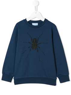 Lanvin Enfant толстовка с изображением паука